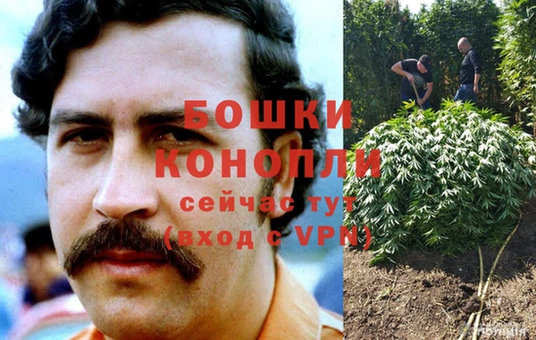 стафф Волосово