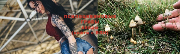 мескалин Вязники