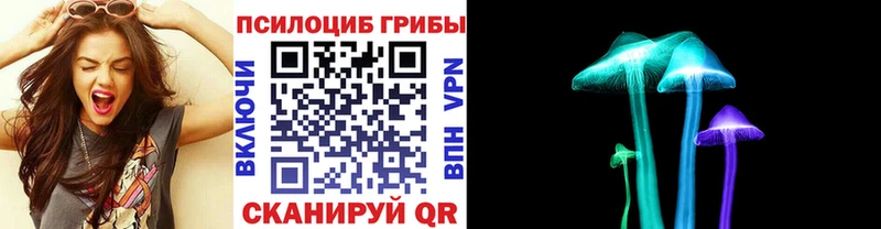 Купить закладки  Тосно  Псилоцибиновые грибы MAGIC MUSHROOMS 